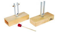 Differential and Sympathetic Tuning Forks