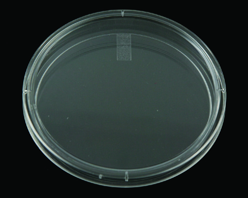 VWR* Disposable Petri Dishes