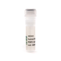 Nanodisc MSP1D1 dH5 POPC