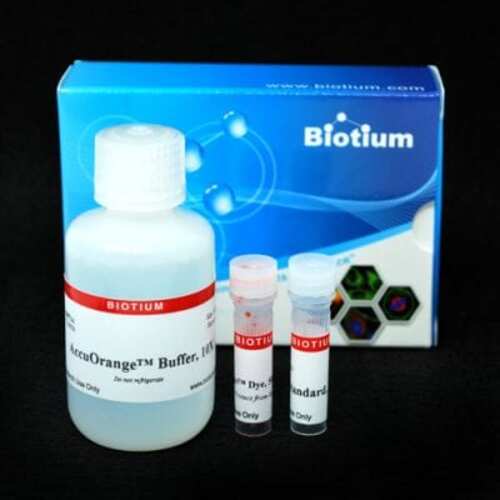 AccuOrange Protein Quantitation Kit, Biotium