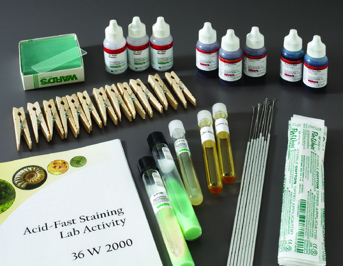 KIT ACID-FAST STAINING (HAS LM COUPON)