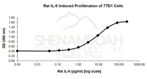 Rat Recombinant IL-6 (from <i>E. coli</i>)