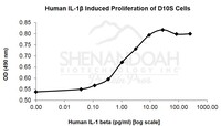 Human Recombinant IL-1beta (from E. coli)