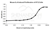 Mouse Recombinant IL-4 (from E. coli)