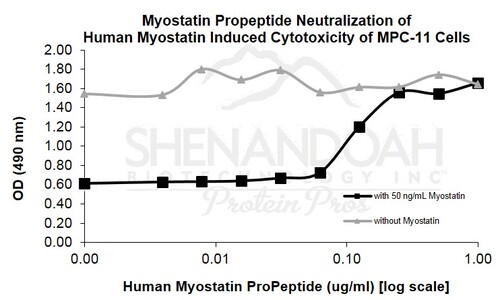Human Recombinant Myostatin Propeptide (from <i>E. coli</i>)
