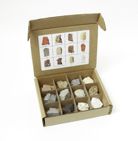 Ward's Science Essentials® Sedimentary Rocks Collection