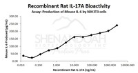 Rat Recombinant IL-17A (from E. coli)