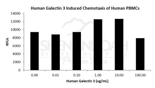 Human Recombinant Galectin-3 (from <i>E. coli</i>)