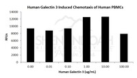 Human Recombinant Galectin-3 (from E. coli)