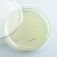 Ward's® Luria Agar Media Plates and Pour Packs