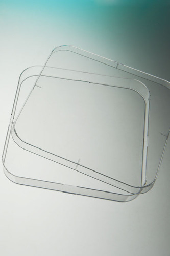 Petri plate square 4 vent