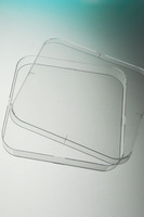 Corning® Gosselin™ Square Petri Dish, 120×120 mm, Corning