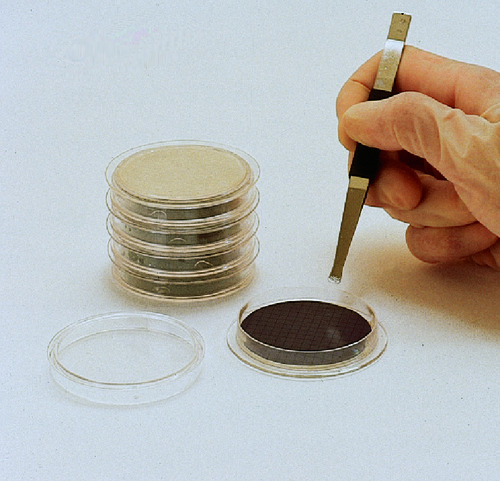 Metricel* Black Membrane Disc Filter