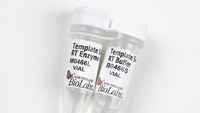 Template Switching RT Enzyme Mix, New England Biolabs