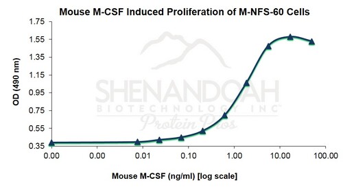 Mouse Recombinant M-CSF (from <i>E. coli</i>)