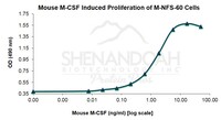 Mouse Recombinant M-CSF (from E. coli)