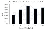 Human Recombinant MIP-3 alpha / CCL20 (from E. coli)