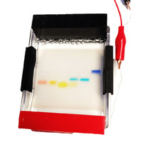 miniPCR® Dye Electrophoresis Lab: Molecular Rainbow