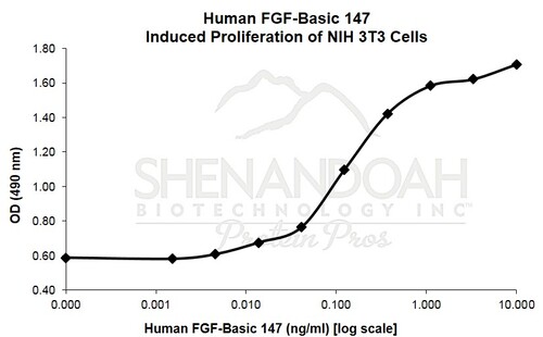 Human Recombinant FGF-basic 147 (from <i>E. coli</i>)