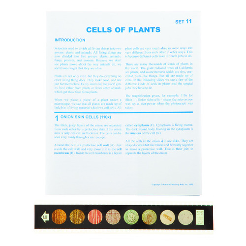 MICROSLIDE CELLS OF PLANTS SET