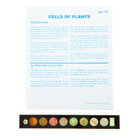 Cells of Plants Microslide