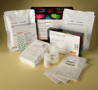 Pierce™ Immunoprecipitation, Protein A/G Coated Plate IP Kit, Thermo Scientific