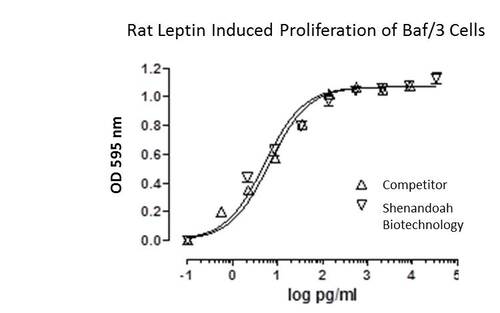 Rat Recombinant Leptin (from <i>E. coli)</i>