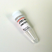 pTXB1 Vector DNA, New England Biolabs