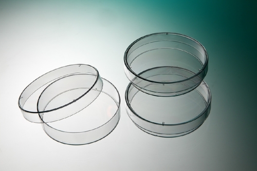 Round Petri Dish
