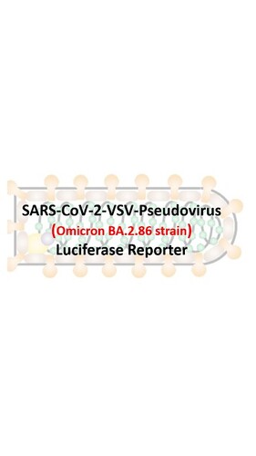 VSV-Pseudovirus_SARS-CoV-2 Omicron BA.2.86 Luciferase