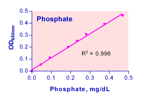 QuantiChrom* Phosphate Assay Kit 500tests