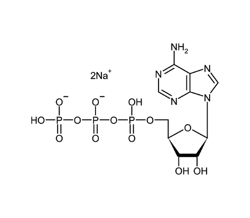 Adenosine-5'-triphosphate disodium salt (ATP disodium salt) ≥98% (by HPLC)