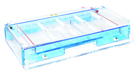 VWR® Horizontal MAXI L  Gel Electrophoresis System with Quick-Disconnect Buffer Exchange Ports
