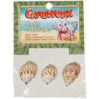 Crabworx® Hermit Crab Shells