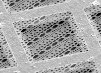 QUANTIFOIL® Multi A Holey Carbon Films on Grids