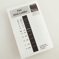 Fast DNA Ladder, New England Biolabs