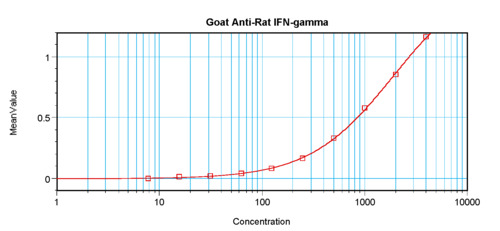 IFN-gamma Antibody