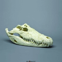 BoneClones® Animal Skulls, Reptilian