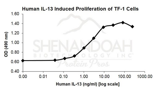 Human Recombinant IL-13 (from <i>E. coli</i>)