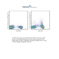 Anti-IFNG Rat Monoclonal Antibody (FITC (Fluorescein Isothiocyanate)) [clone: XMG1.2]