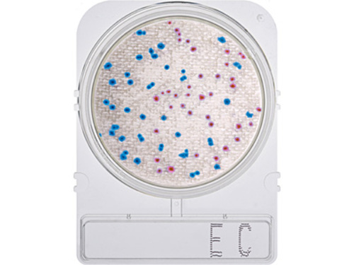 Medium Compact Dry* EC, Escherichia coli and Coliforms, 25 pks of 4 plates