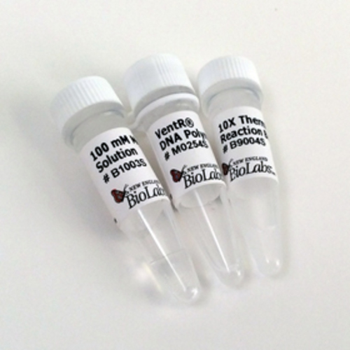 VENT® DNA Polymerase, New England Biolabs