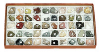 Classroom Collection of Minerals and Rocks