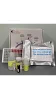 Swine Anti-African Swine Fever Virus Antibody IgG Titer Serologic Assay Kit