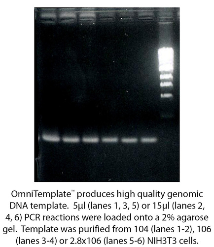 Omni Template Single tube DNA-Template Prep Kit