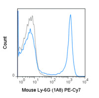 Anti-LY6G Rat Monoclonal Antibody (PE (Phycoerythrin)-Cy7®) [clone: 1A8]