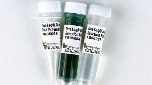 OneTaq Quick-Load DNA Polymerase, New England Biolabs