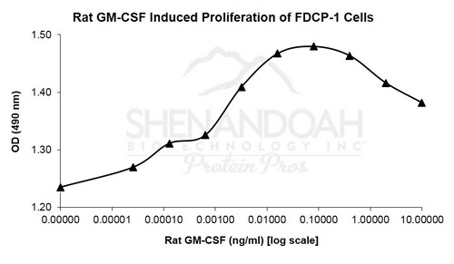 Rat Recombinant GM-CSF (from <i>E. coli</i>)
