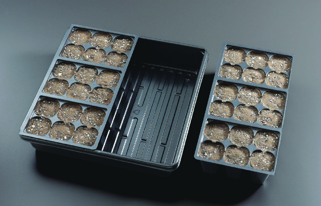 Jiffy Planting Tray Laboratory Trays/Dishes