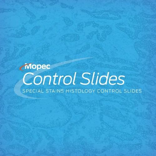 Control Slides, Special Stains, Argyrophil